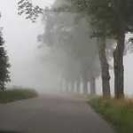 Prázdninový dům Slowinskie Widoki Flora, Fauna, Smoldzinski