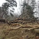 Slowinskie Widoki Flora, Fauna, Smoldzinski Prázdninový dům *