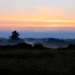 Slowinskie Widoki Flora, Fauna, Smoldzinski Prázdninový dům Smoldzinski Las
