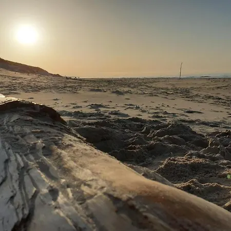 Semesterbostad Slowinskie Widoki Flora, Fauna, Smoldzinski Smoldzinski Las