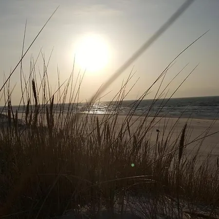 Slowinskie Widoki Flora, Fauna, Smoldzinski *