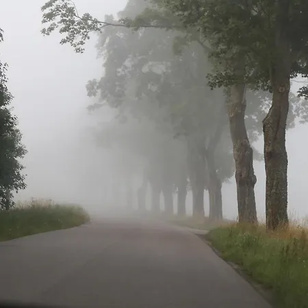 Casa vacanze Slowinskie Widoki Flora, Fauna, Smoldzinski