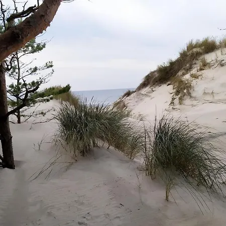 Semesterbostad Slowinskie Widoki Flora, Fauna, Smoldzinski *