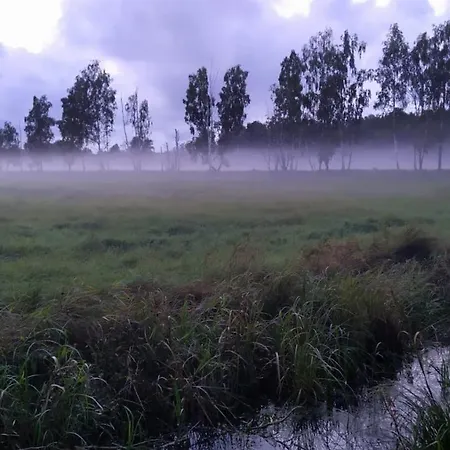 Slowinskie Widoki Flora, Fauna, Smoldzinski Nyaraló