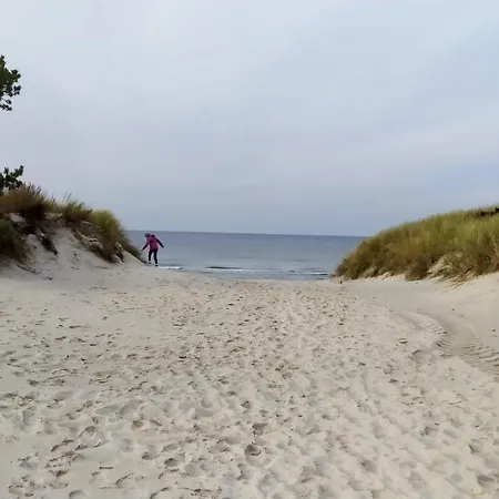Slowinskie Widoki Flora, Fauna, Smoldzinski * Smołdziński Las