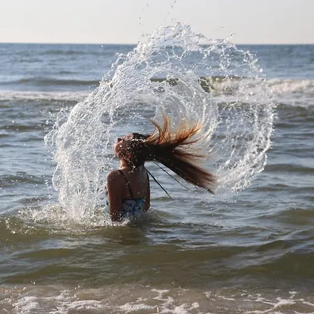 Slowinskie Widoki Flora, Fauna, Smoldzinski Semesterbostad *