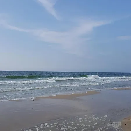 Slowinskie Widoki Flora, Fauna, Smoldzinski *