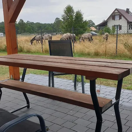 Slowinskie Widoki Flora, Fauna, Smoldzinski Semesterbostad