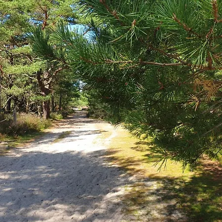 Feriehus Slowinskie Widoki Flora, Fauna, Smoldzinski