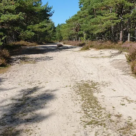 Slowinskie Widoki Flora, Fauna, Smoldzinski * Smoldzinski Las