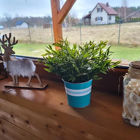 Slowinskie Widoki Flora, Fauna, Smoldzinski Semesterbostad Smoldzinski Las