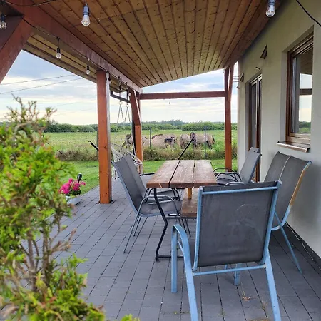 Slowinskie Widoki Flora, Fauna, Smoldzinski * Smoldzinski Las