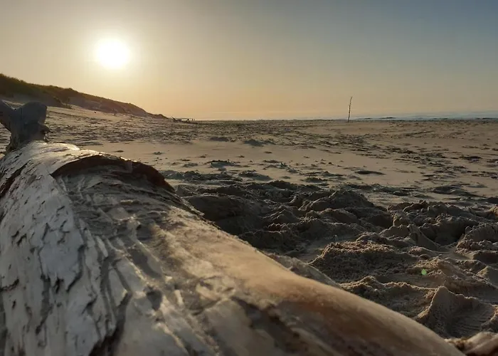 بيت للعطل Slowinskie Widoki Flora, Fauna, Smoldzinski سموودجينسكي لاس