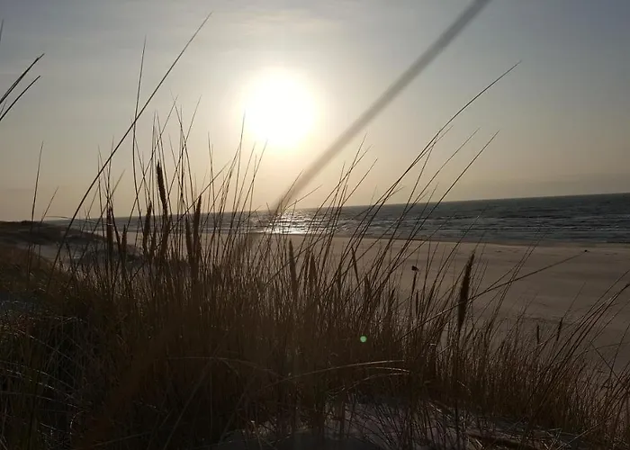 Slowinskie Widoki Flora, Fauna, Smoldzinski *