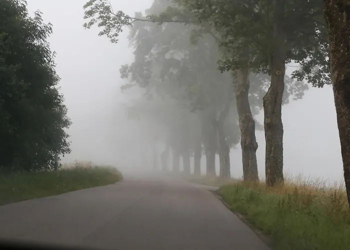 بيت للعطل Slowinskie Widoki Flora, Fauna, Smoldzinski