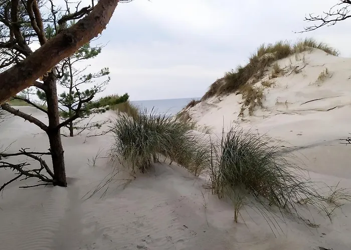 بيت للعطل Slowinskie Widoki Flora, Fauna, Smoldzinski *