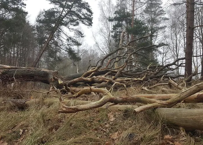 Slowinskie Widoki Flora, Fauna, Smoldzinski 度假居 *