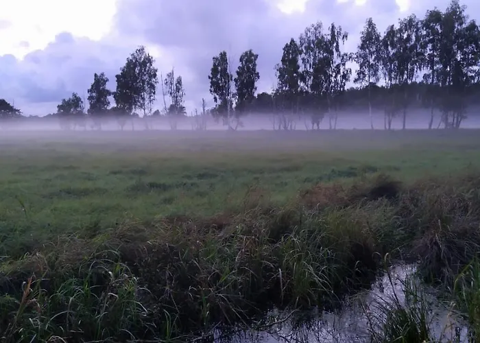 Slowinskie Widoki Flora, Fauna, Smoldzinski بيت للعطل