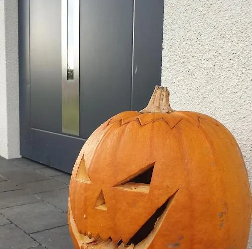 Slowinskie Widoki Flora, Fauna, Smoldzinski * سموودجينسكي لاس