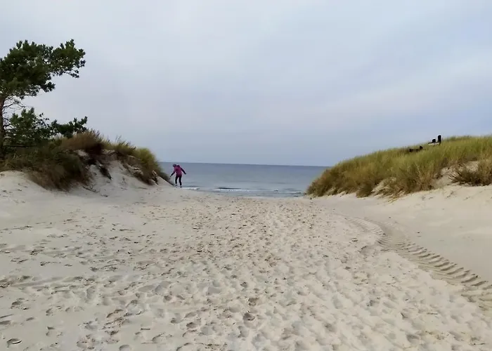 Slowinskie Widoki Flora, Fauna, Smoldzinski * 斯莫尔德兹斯基拉斯