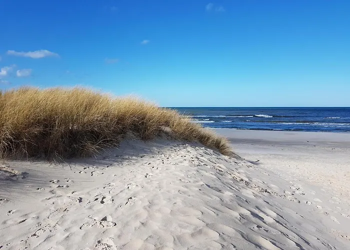 بيت للعطل Slowinskie Widoki Flora, Fauna, Smoldzinski *