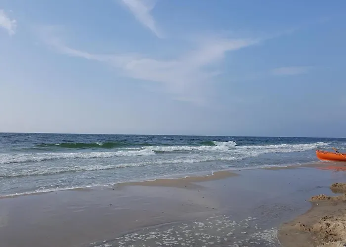 Slowinskie Widoki Flora, Fauna, Smoldzinski *