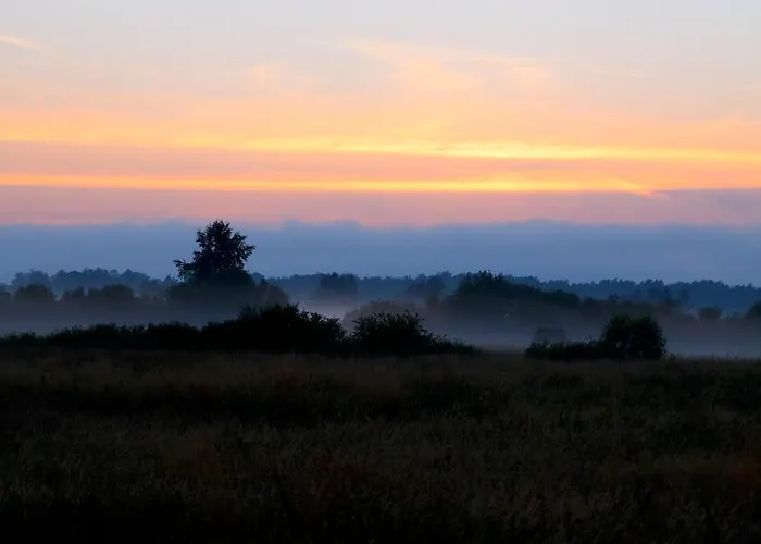 Slowinskie Widoki Flora, Fauna, Smoldzinski 度假居 斯莫尔德兹斯基拉斯