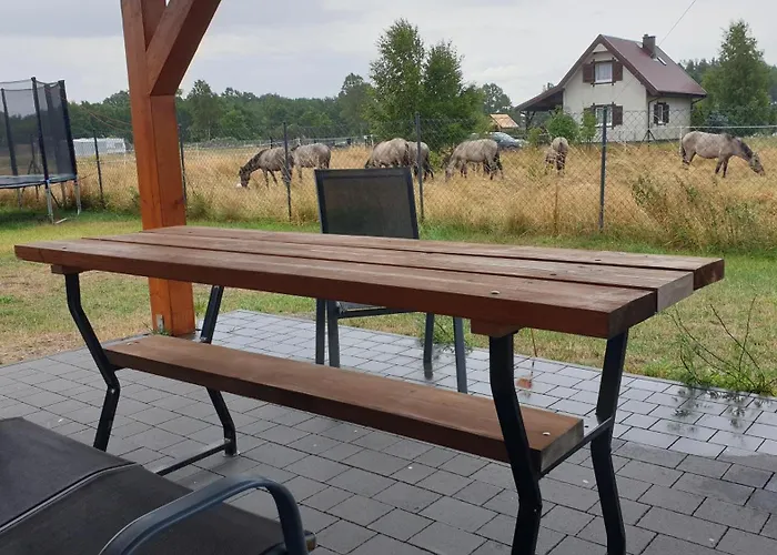 Slowinskie Widoki Flora, Fauna, Smoldzinski 度假居