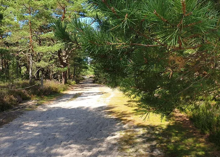 بيت للعطل Slowinskie Widoki Flora, Fauna, Smoldzinski