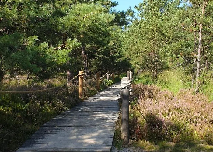 Slowinskie Widoki Flora, Fauna, Smoldzinski *