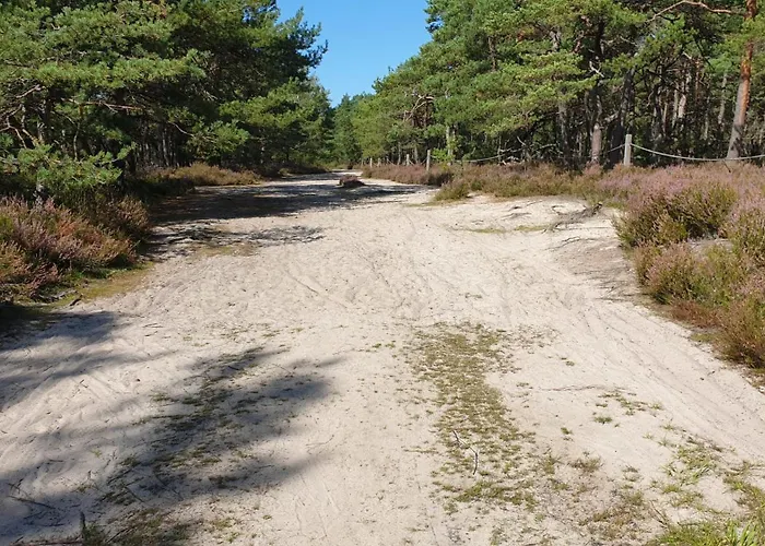 Slowinskie Widoki Flora, Fauna, Smoldzinski * سموودجينسكي لاس