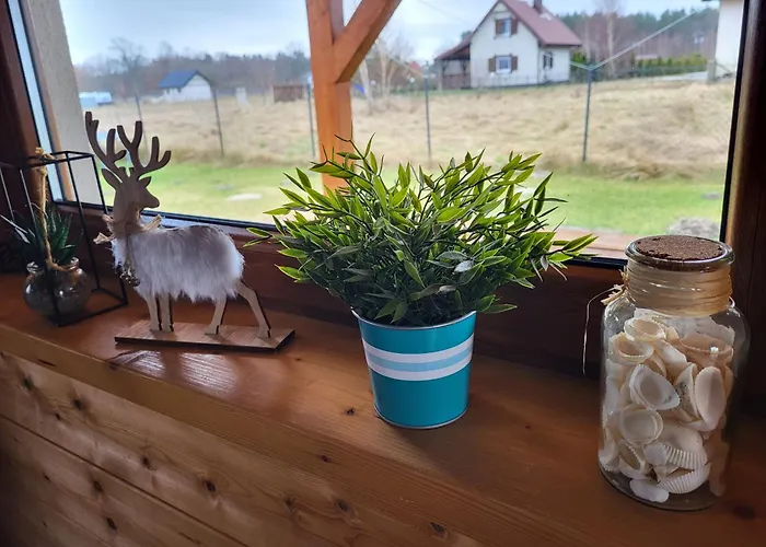 Slowinskie Widoki Flora, Fauna, Smoldzinski بيت للعطل سموودجينسكي لاس