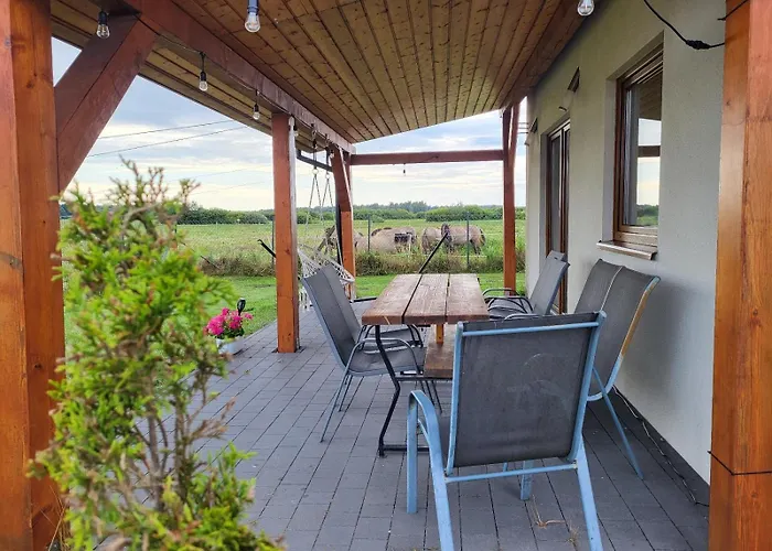 Slowinskie Widoki Flora, Fauna, Smoldzinski * 斯莫尔德兹斯基拉斯