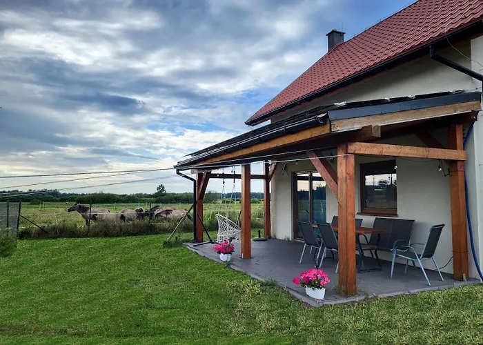 Slowinskie Widoki Flora, Fauna, Smoldzinski بيت للعطل *